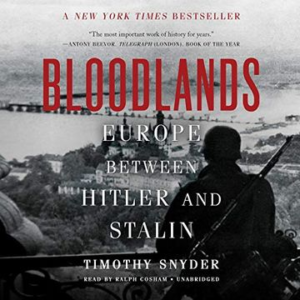 BLOODLANDS: EUROPE BETWEEN THE FIRST AND THE SECOND WORLD WAR (Timothy Snyder)