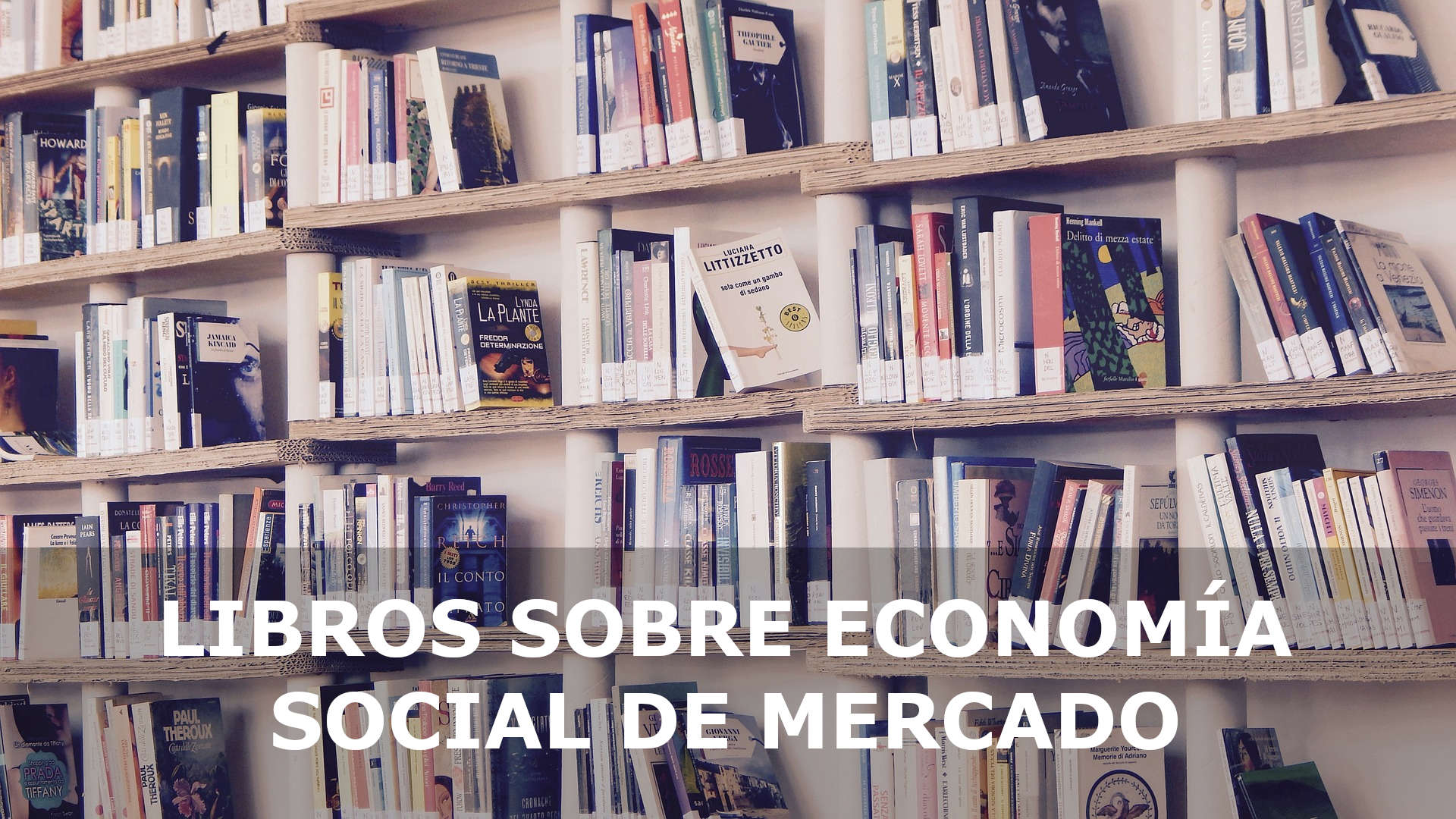 LIBROS SOBRE ECONOMÍA SOCIAL DE MERCADO