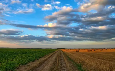 HACIA LA RECUPERACIÓN Y MODERNIZACIÓN DE LA AGRICULTURA VENEZOLANA: IDEAS PARA UN NUEVO GOBIERNO